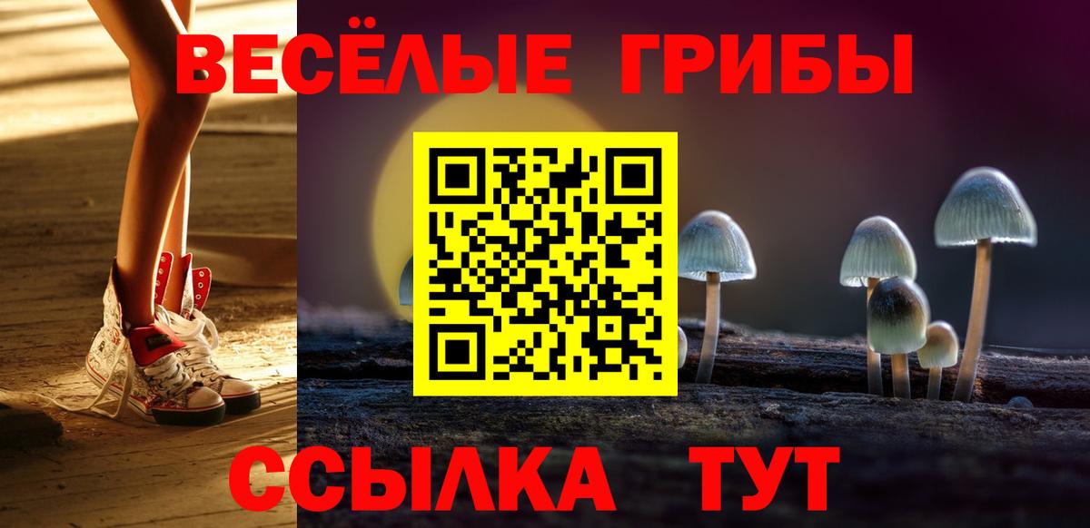 Сланцы  где продают   Вход с VPN  Галлюциногенные грибы GOLDEN TEACHER 