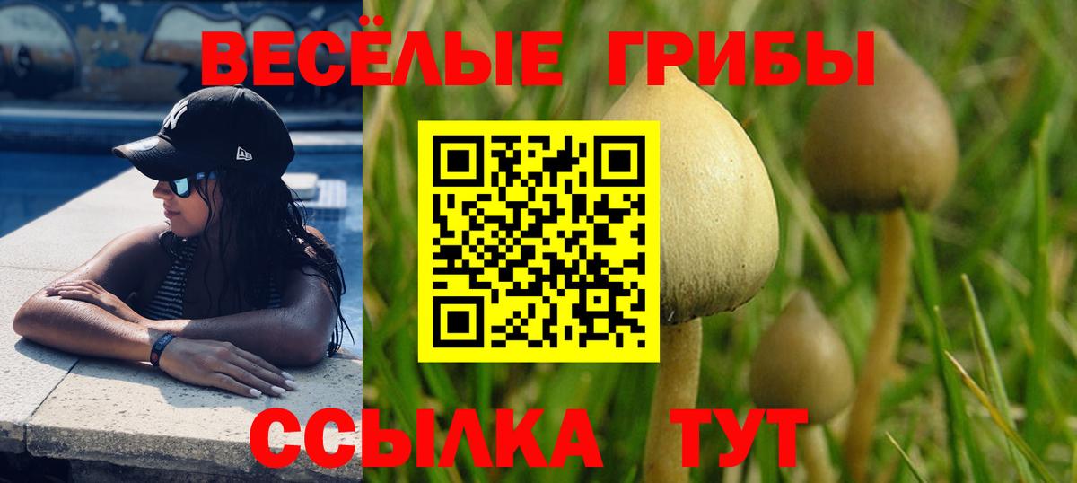 Галлюциногенные грибы прущие грибы Сланцы